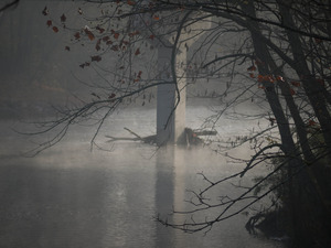 Little River